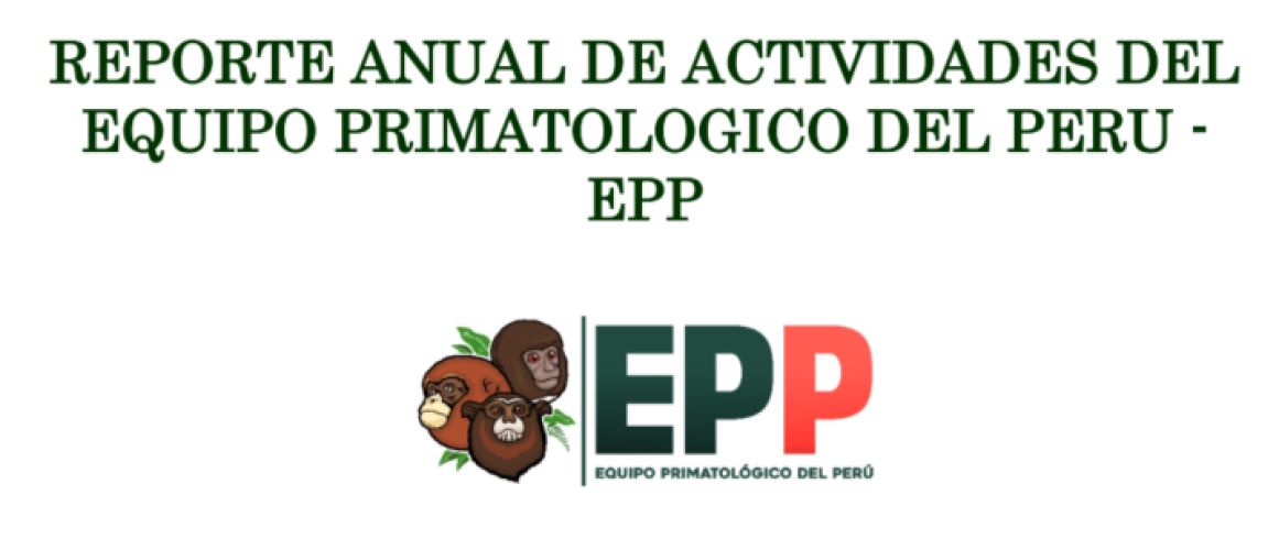 Reporte 2021 de actividades del EPP