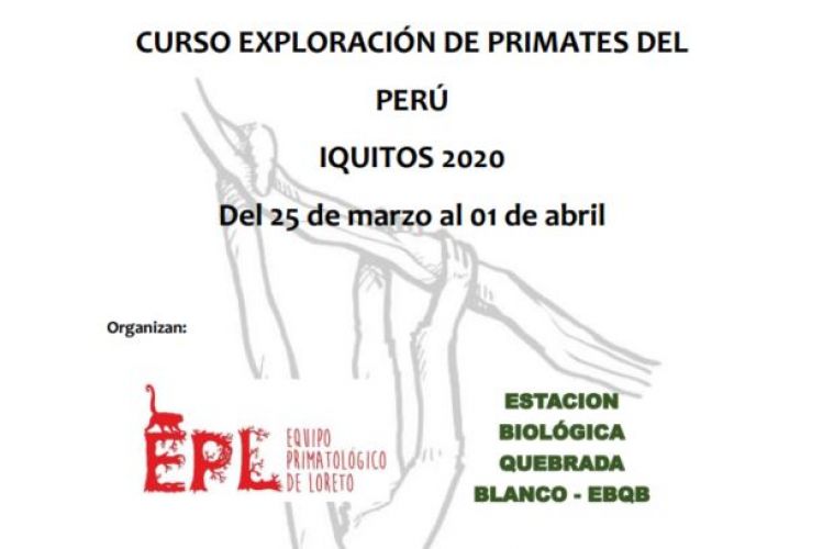 Curso Exploración de Primates, Loreto 2020 EPL.
